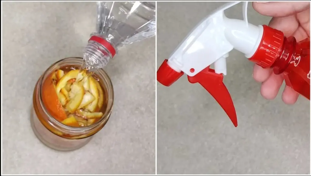 Warum ich alle Reinigungsmittel weggeworfen habe: Essig-Mazerat aus 4 Mandarinen-Schalen – mein Geheimnis für ein blitzsauberes Zuhause