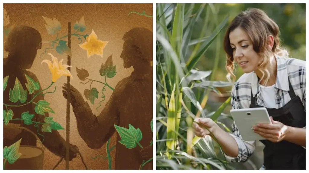 Warum Ihre Pflanzen vielleicht auf Ihre Stimmung reagieren