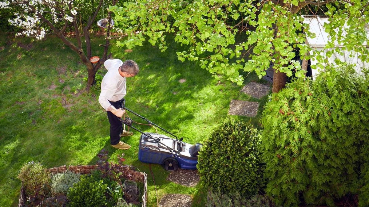 Warum Nachbarn am Sonntagvormittag den Rasen mähen: Die überraschende Wahrheit hinter dem Lärm - image 1