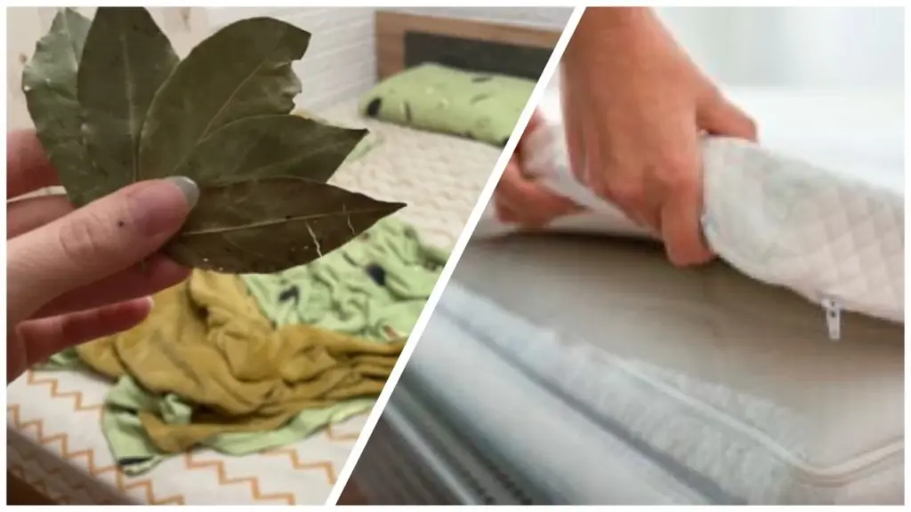 Warum Oma 7 Lorbeerblätter unter die Matratze legte – und ich es jetzt tue