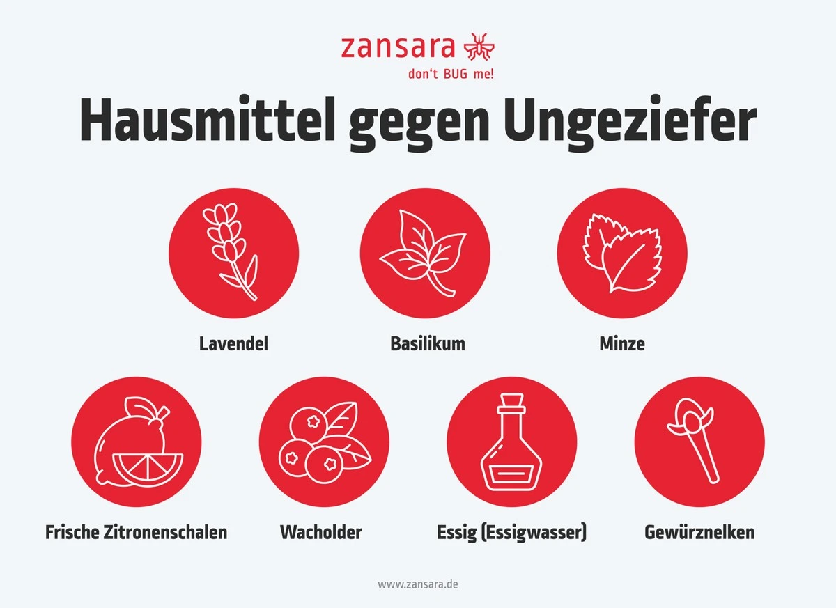 Warum Oma 7 Lorbeerblätter unter die Matratze legte – und ich es jetzt tue - image 2