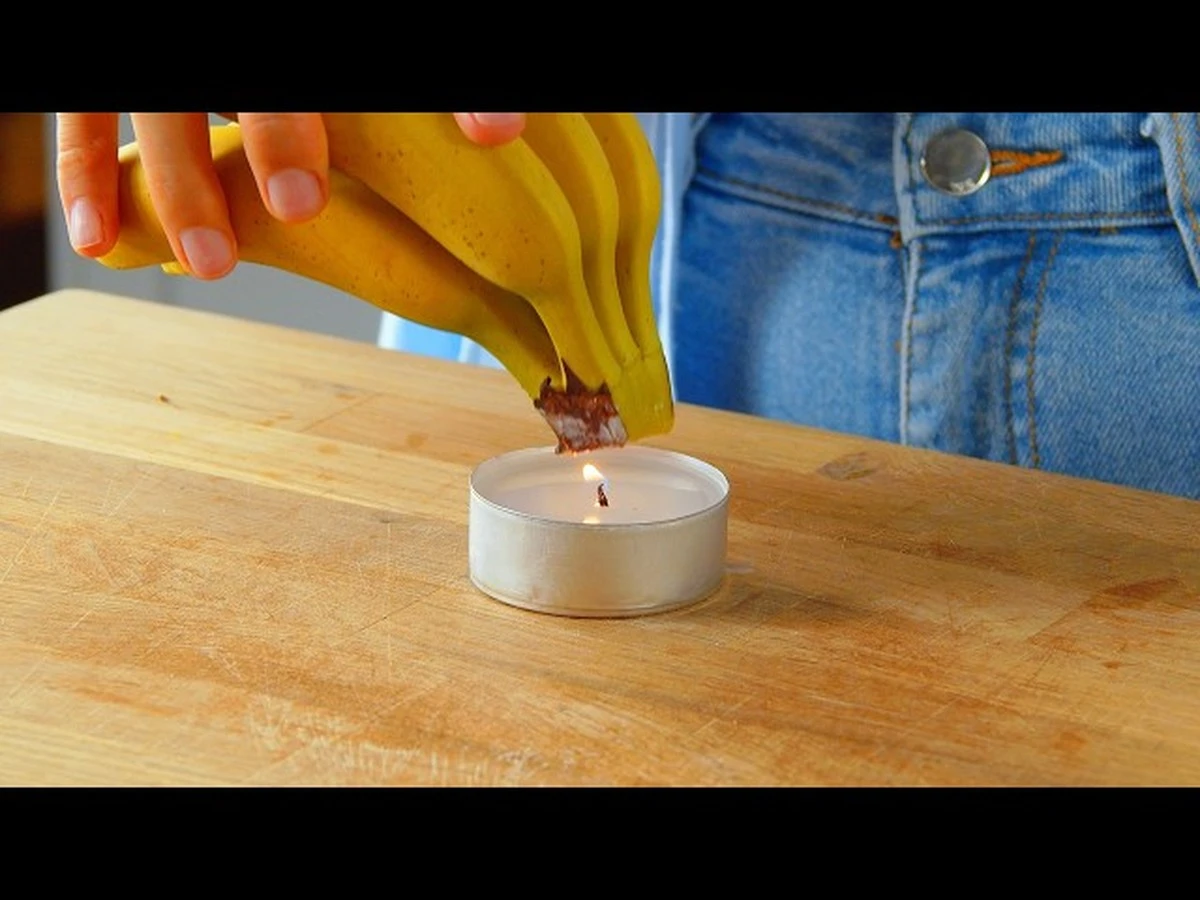 Warum Österreicher nun Klopapier in den Gefrierschrank legen - image 2