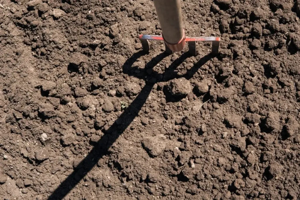 Warum Profis das Umgraben mit dem Spaten meiden: Dieses vergessene Werkzeug lockert den Boden auf natürliche Weise