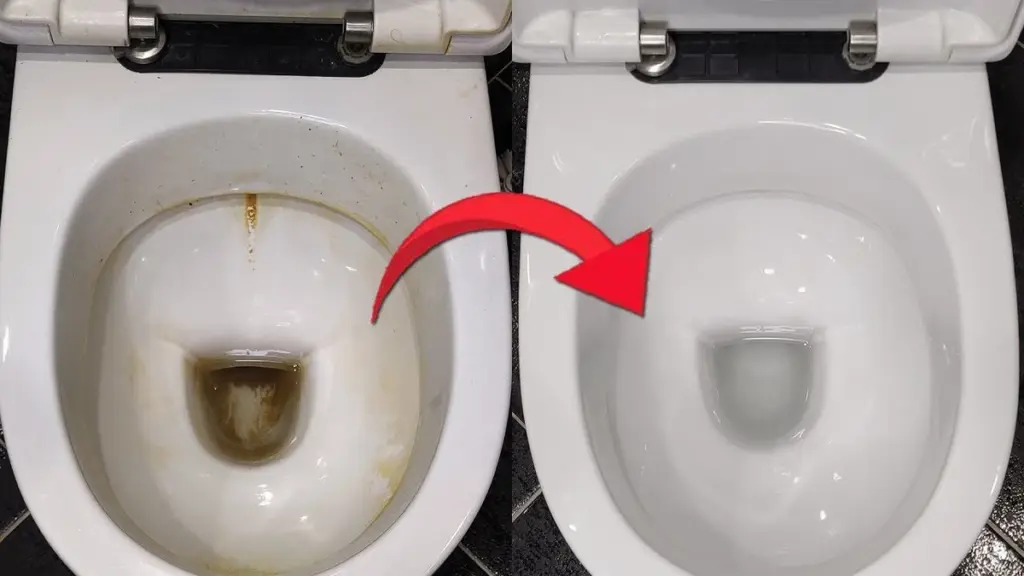 Warum selbst erfahrene Hausfrauen das Toilettensitz-Scharnier abnehmen: 5 geheime Tricks für ein frisches Bad