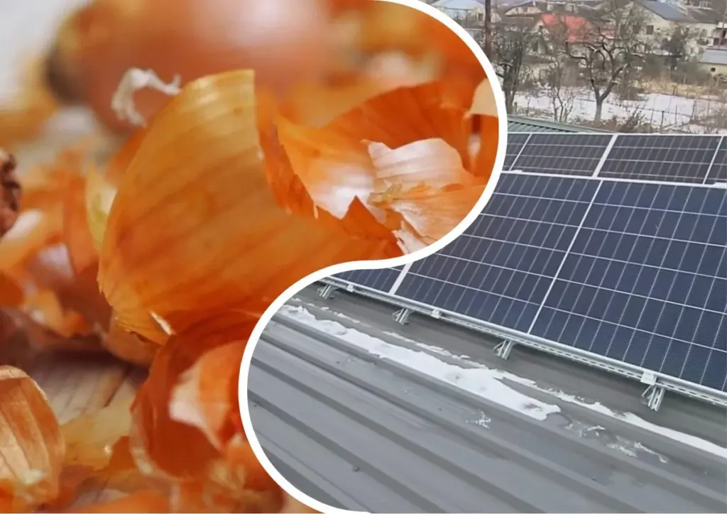 Warum Zwiebelschalen Ihre Solarpaneele vor Hitze schützen: Ein einfaches Natur-Hack