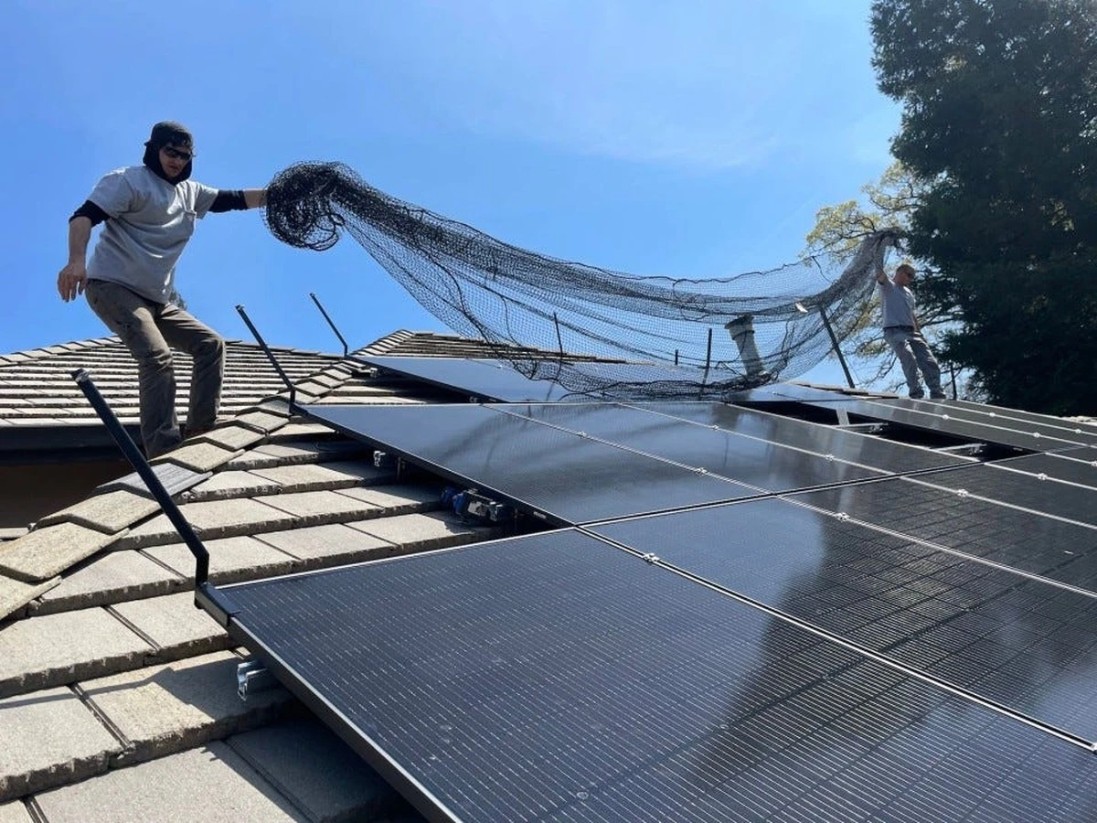 Warum Zwiebelschalen Ihre Solarpaneele vor Hitze schützen: Ein einfaches Natur-Hack - image 1