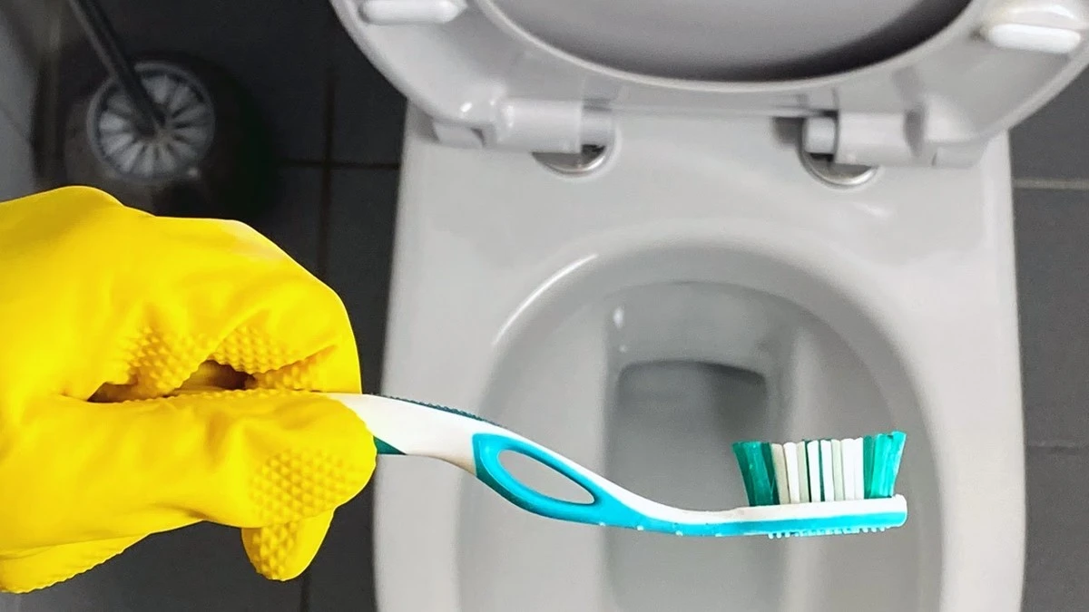 Zitronen-Trick: So wird Ihre Klobrille wieder strahlend weiß - image 2