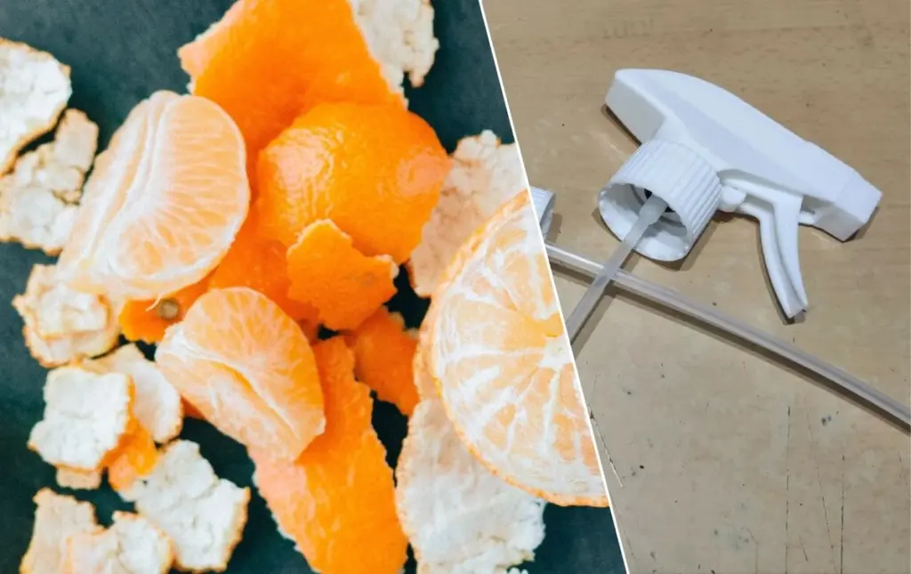 Zitrussschalen im Kleiderschrank: Der 2-monatige Frische-Trick, den Sie kennen müssen